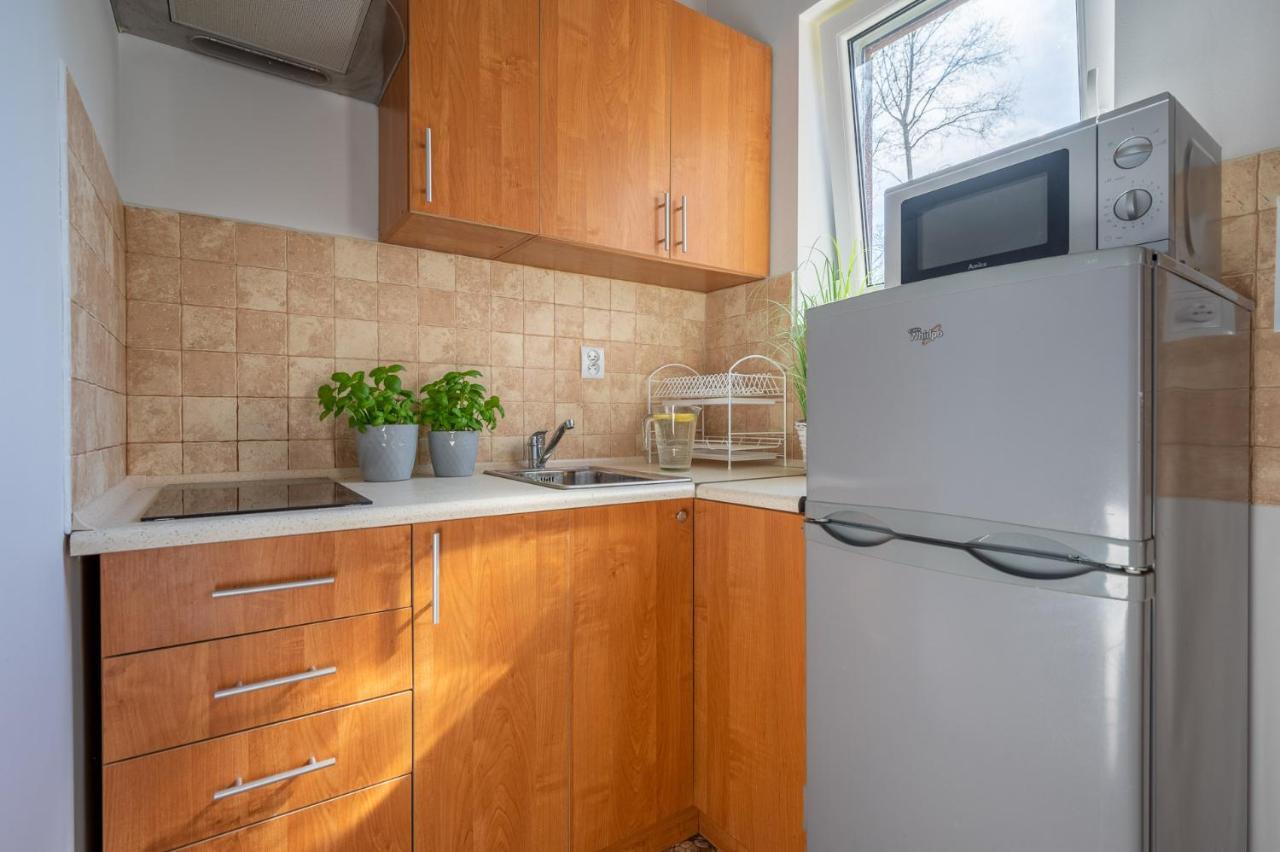 Plazowa Apartment *